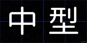 中型