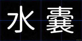 水嚢