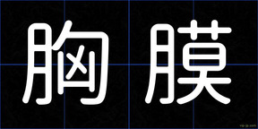 胸膜
