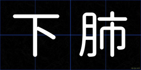 下肺