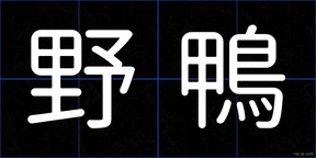 野鴨