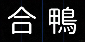合鴨