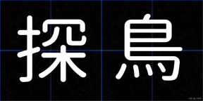 探鳥