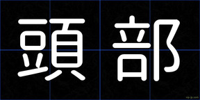 頭部