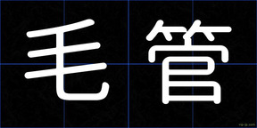 毛管