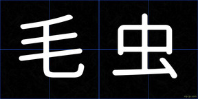 毛虫