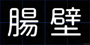 腸壁