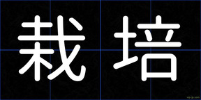 栽培