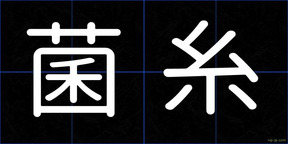 菌糸