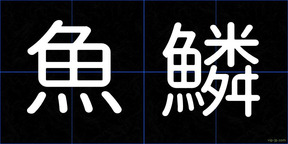 魚鱗