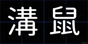 溝鼠