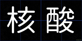 核酸