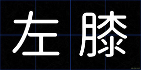 左膝