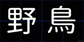 野鳥