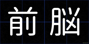 前脳