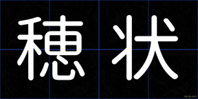 穂状