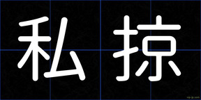 私掠