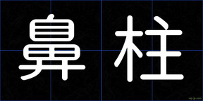 鼻柱