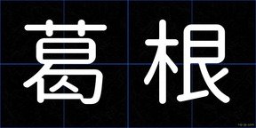 葛根