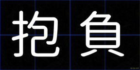 抱負