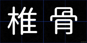 椎骨