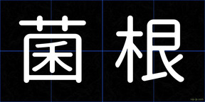 菌根