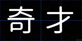 奇才