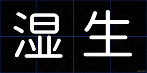 湿生
