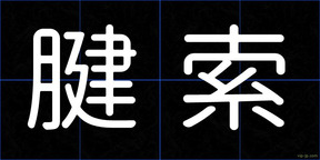 腱索
