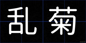乱菊