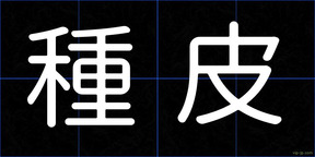 種皮
