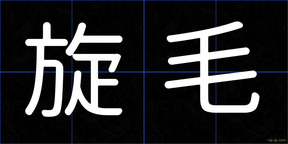 旋毛