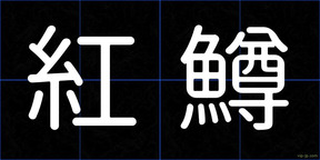紅鱒