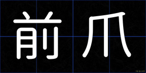前爪