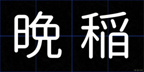 晩稲