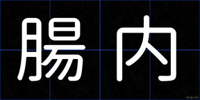 腸内