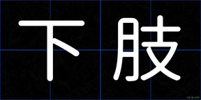 下肢