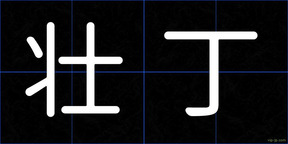壮丁