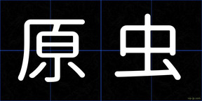 原虫