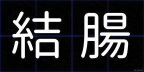 結腸