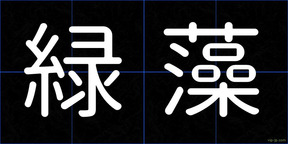 緑藻