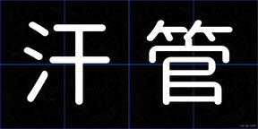 汗管