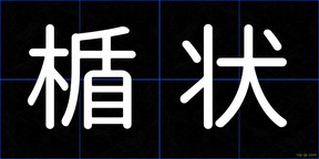 楯状