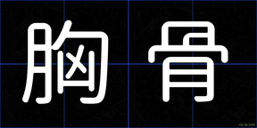 胸骨