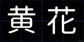 黄花