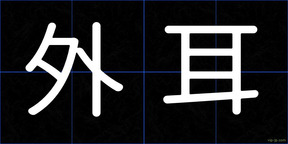 外耳