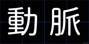 動脈
