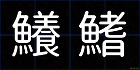 鱶鰭