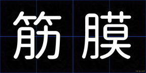 筋膜