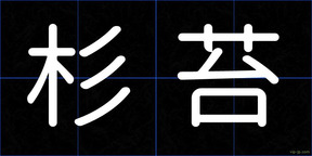 杉苔